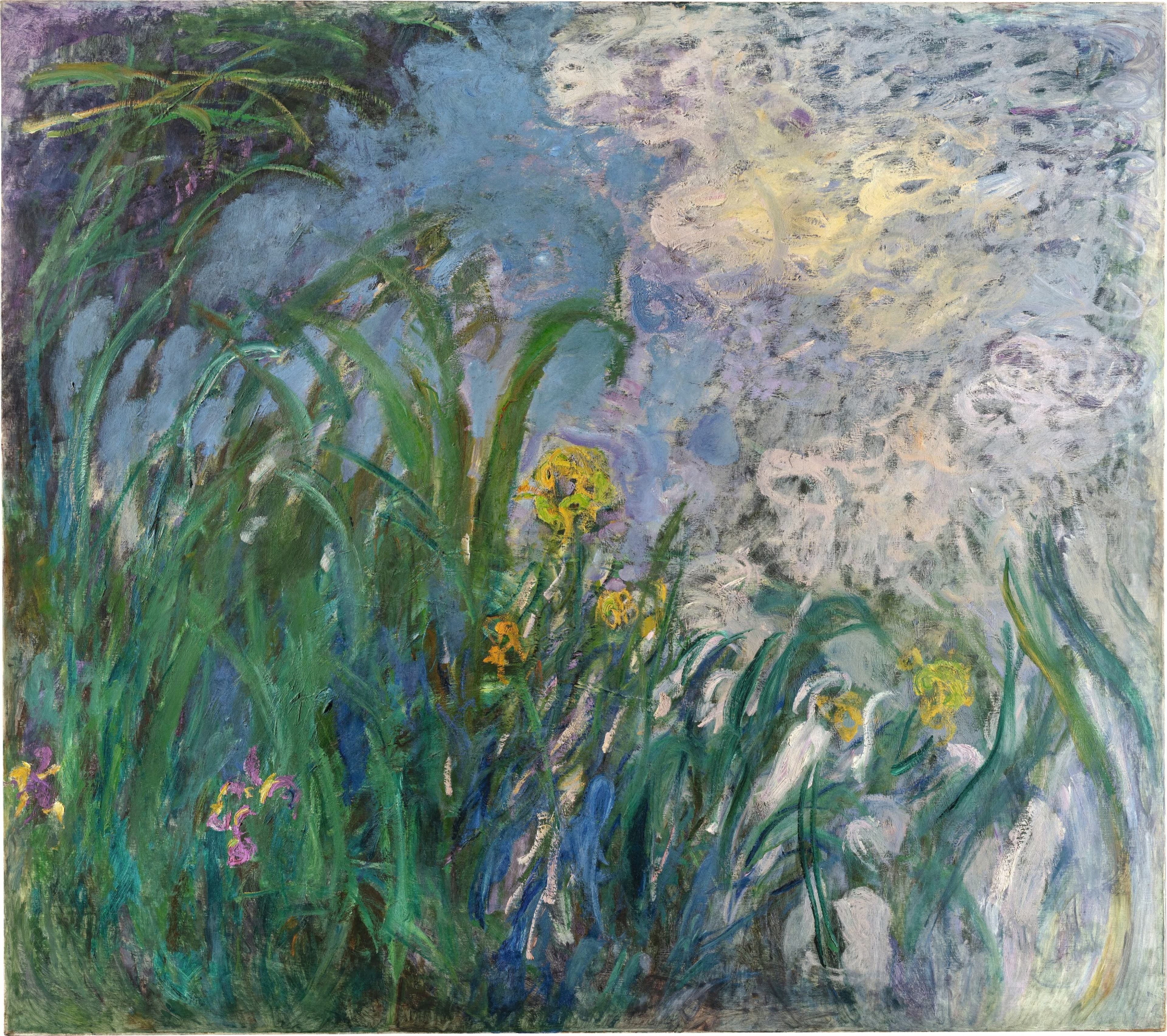 Monet's Iris Sets French Auction Record at $56.2 Million